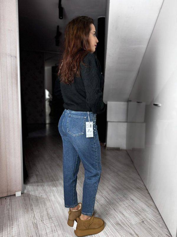 Blugi albastrii pietre sus